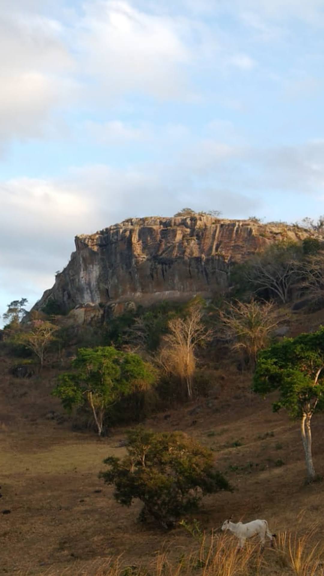 [Imagem da galeria de Serra Redonda]