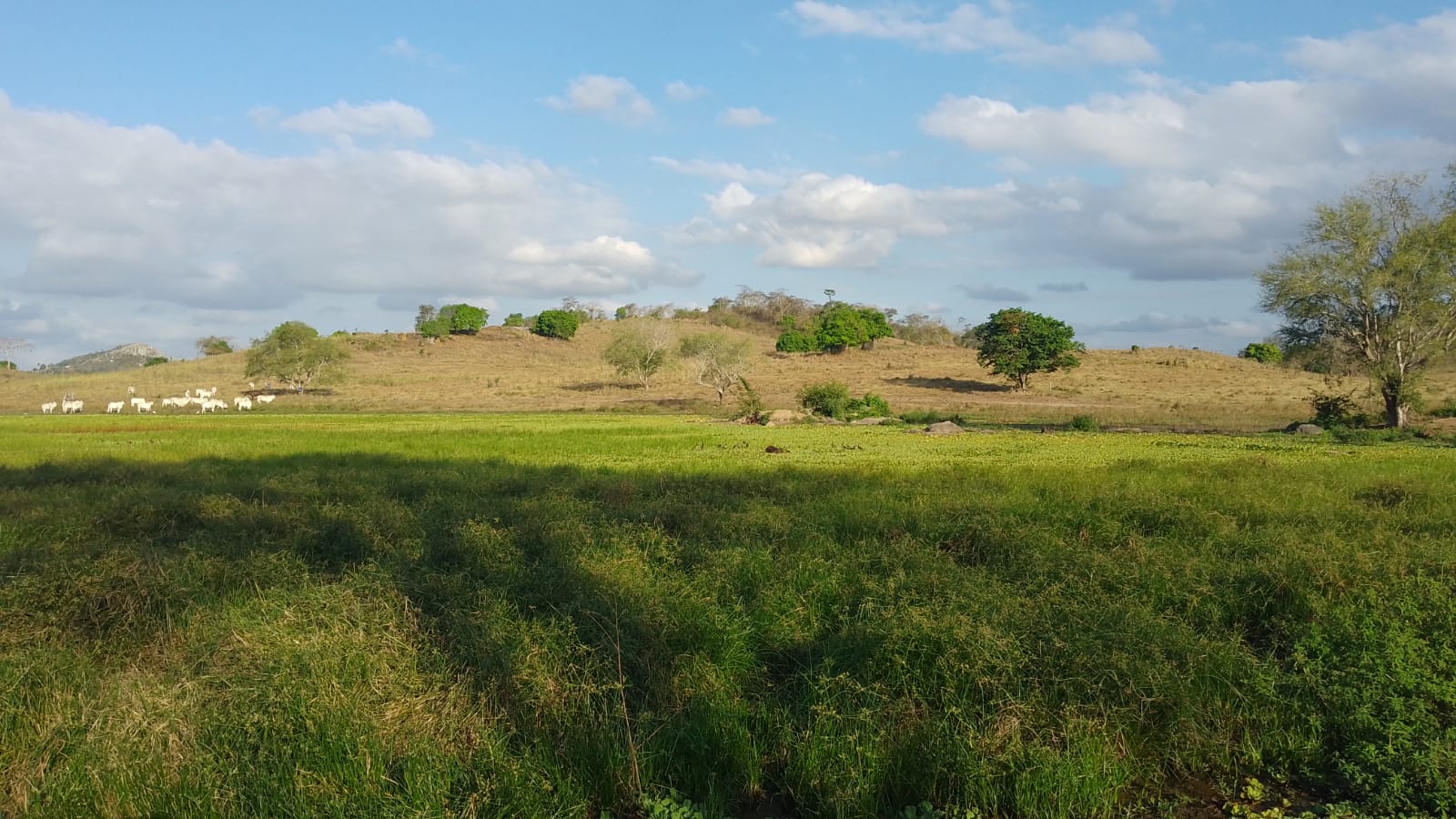 Turismo Rural